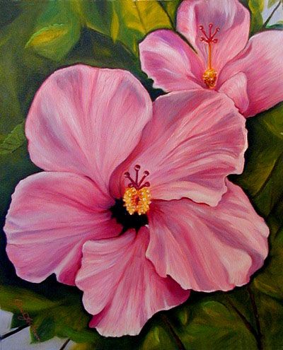 flower paintings | Tropical Flower Oil Paintings by Janis Stevens Hibiscus Paintings, Pink Flowers Painting, Hibiscus Painting, Hibiscus Oil, Pink Flower Painting, Oil Painting Pictures, Pink Hibiscus, Pola Sulam, Flower Paintings