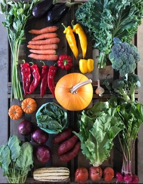 Misfit Market, Csa Farm, Csa Box, Vegetable Shop, Sweet Love, Love Is Sweet, Farmers Market, Carrots, Ginger