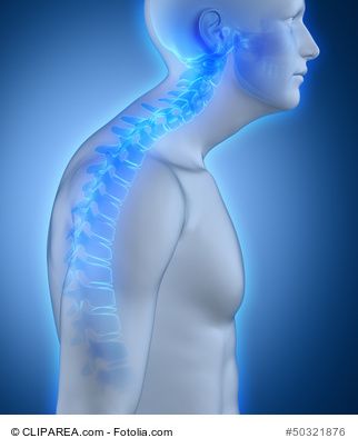 In my article here http://fitnessoriented.com/videos-best-forward-head-posture-exercises/ I will teach you Great exercises you can do to help correct bad Forward Head Posture Trapezius Muscle Pain, Neck Posture, Forward Head Posture Exercises, Posture Fix, Forward Head Posture, Gluteal Muscles, Posture Exercises, Bad Posture, Fitness Articles