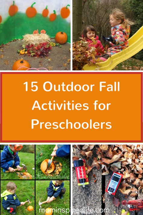 Preschool Fall Harvest Activities, Fall Outdoor Preschool Activities, Fall Sensory Activities Kindergarten, Fall Outdoor Learning Kindergarten, Preschool Playground Activities, Outdoor Fall Toddler Activities, Outdoor Fall Kids Activities, Outdoor Autumn Activities, Fall Festival Ideas Preschool