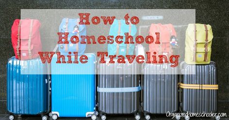 How to Homeschool While Traveling Energy Drink Can, Beverage Can, Travel