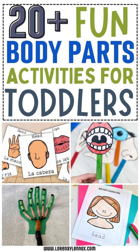 Anatomy Activities For Preschool, Preschool Body Crafts, My Body Lesson Plan For Toddlers, My Body Crafts For Infants, My Body Montessori Activities, Human Body Math Activities Preschool, My Body Prek Activities, Body Part Craft For Toddlers, Pre K Body Parts Activities