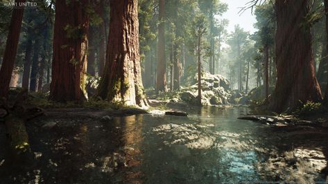 ArtStation - UE4 Redwood Forest - Making Of, Willi Hammes Sequoia Forest, The Hunting Party, Environment Inspiration, Environment Photography, Giant Sequoia, Ark Survival Evolved, Environment Art, Redwood Forest, Fantasy Forest