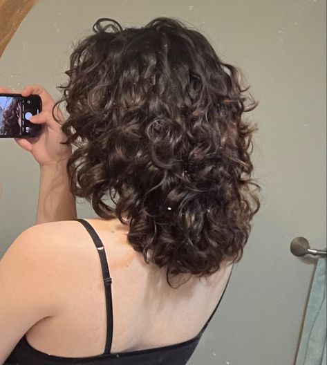 Curly Haircut Wolfcut, Medium Curly Wolfcut, U Haircut For Short Hair, Haircuts For Loose Curly Hair, Curly Short Hair Layers, Dark Brown Short Curly Hair, Wolfcut Hair Medium Curly, Short Haircuts For Wavy Curly Hair, Wolf Cuts Curly Hair