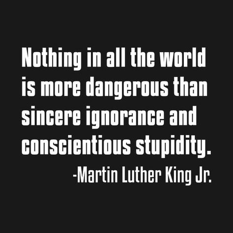 Learn From History Quotes, Dangerous People Quotes, Ignorant Quotes, Quotes About Ignorance, Ignorance Quotes, History Instagram, Discover Quotes, Quote Black, Mlk Jr