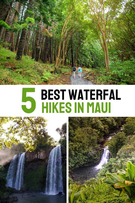 Discover the 5 best waterfall hikes in Maui! Explore lush trails leading to stunning cascades, from the famous Waimoku Falls to the hidden gem of Makamakaole Falls. Perfect for hikers seeking adventure and breathtaking scenery. Hiking In Maui, Maui Waterfalls, Twin Falls Maui, Maui Hikes, Hikes In Maui, Maui Travel Guide, Maui Itinerary, Breathtaking Scenery, Maui Travel