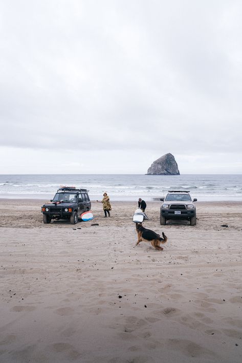 Surfing In Oregon, Oregon Coast Surfing, Cold Water Surfing, Pnw Surfing, Oregon Surfing, Gearhart Oregon, Winter Surfing, Canned Wine, Retro Bakery