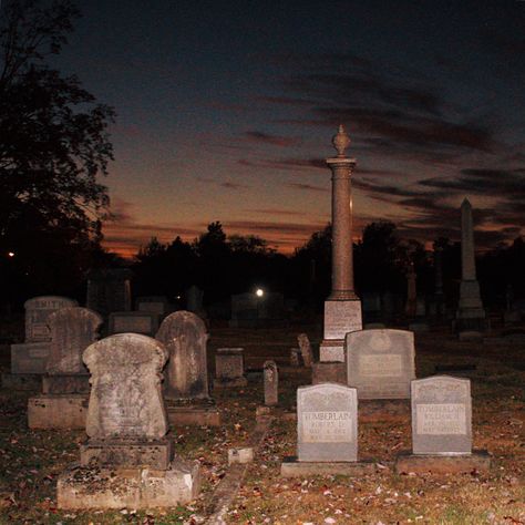 Grave Digging Aesthetic, Goth Graveyard, Graveyard Landscape, Graveyard Entrance, Southern Goth Aesthetic, Meet Me In The Graveyard, Goth Nature, Paranormal Aesthetic, Dark Visions