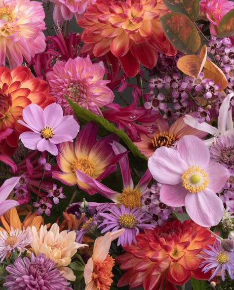 Pink Orange Flowers Aesthetic, Katrin Engler, Clashing Colours, Bunches Of Flowers, Strawberry Summer, Leipzig Germany, Nothing But Flowers, Fun Patterns, Flower Therapy