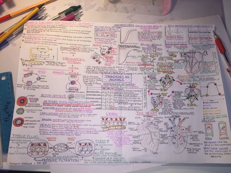 OCR A Level Biology: Transport in Animals Topic Mind Map A Level Biology Notes, School Presentation Ideas, A Level Chemistry Notes, Studying Science, Igcse Biology, Neet Notes, School Presentation, Biology Revision, Mcat Study