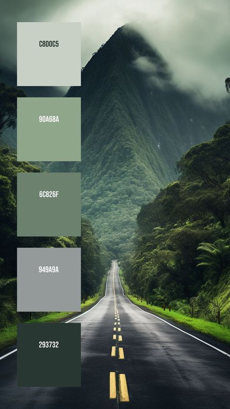 Colors: C8D0C5 ° 90A68A ° 6C826F ° 949A9A ° 293732 Pacific Color Palette, Environment Colour Palette, Mountain Color Palette Nature, Lightning Color Palette, Hiking Color Palette, Pnw Color Palette, Mountain Color Palette, Website Color Schemes, Mystic Mountain