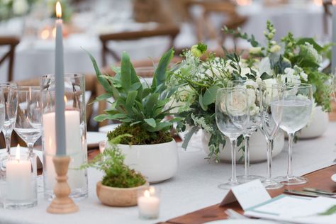 Potted Plant Centerpieces, Connecticut Wedding Venues, Plant Centerpieces, Potted Ferns, Fern Wedding, Connecticut Wedding, Winery Weddings, Ceremony Decorations, Wedding Design