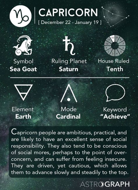 Free information about learning astrology. Includes topics in Western astrology such as: Houses of the horoscope, Signs of the zodiac, Astrological aspects, Planets, Asteroids, and much more! Capricorn Life, Taurus Zodiac Facts, Taurus Quotes, Astrology Taurus, Capricorn Facts, Zodiac Signs Taurus, Learn Astrology, Zodiac Society, Taurus Facts