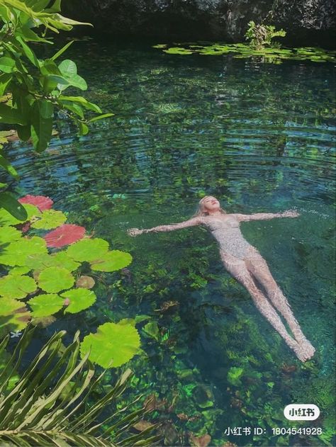 New Perspective, Floating, Follow Me, Lily, Swimming, Water, Plants