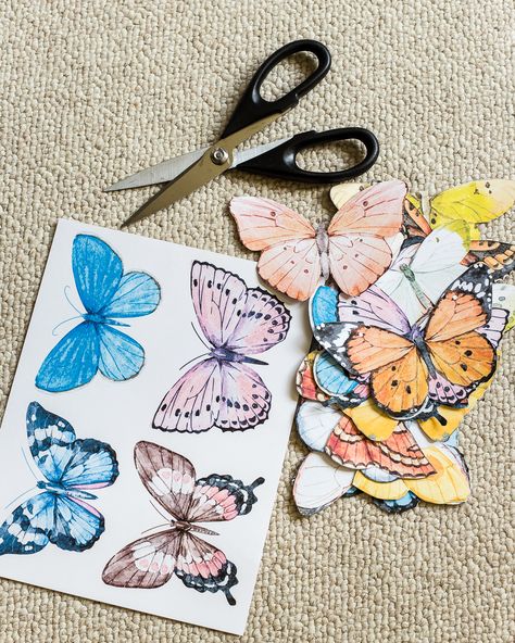 Butterfly Home Decor Diy, Diy Butterfly Art, Diy Butterfly Decor, Butterfly Diy Crafts, Butterfly Wall Decor Diy, Entomology Decor, Butterfly Wall Art Diy, Butterfly Study, Diy Butterfly Decorations