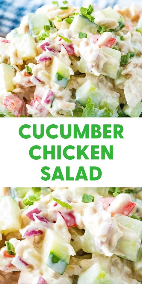 Cold Cucumber Chicken Salad {Must-Make This Summer} Everything Cucumber Salad, Diy Salads For Lunch, Chicken Cucumber Pasta Salad, Cucumber Chicken Salad Sandwich, Cucumber Chicken Recipes, Meal Prep With Cucumbers, Chicken Salad Recipe Cucumber, Cucumber And Chicken Salad, Chicken Cucumber Avocado Salad