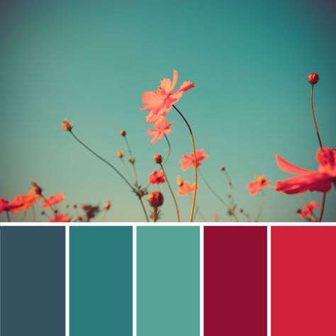 15+ Best Teal Color Palettes (Colors that Go with Teal) – CreativeBooster Teal Color Palette Bedroom, Teal Color Palettes, Teal Bedroom Decor, Teal Palette, Coral Colour Palette, Teal Color Palette, Teal Color Schemes, Red Color Palette, Pantone Colour Palettes