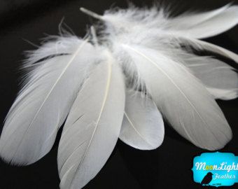 Wholesale Goose Feathers, 1/4 lb - WHITE Goose Nagoire Wholesale Feathers (bulk) : 133 Easy Baby Blanket, White Goose, Feather Wedding, Pheasant Feathers, Feather Crafts, Wings Costume, Goose Feathers, Sewing Projects For Kids, White Feathers