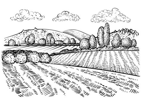 Landscaping Sketch, Thanksgiving Graphics, Outline Images, Landscape Sketch, Sketch Style, Farm Scene, Ink Sketch, Rural Landscape, Landscape Drawings