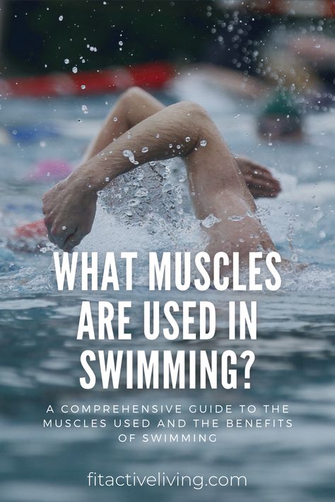 Benefits Of Swimming Laps, Swim Training For Beginners, Losing Weight Swimming, Lap Swimming For Beginners, Swimming Benefits For Women, Swimming Techniques For Beginners, Swimming For Exercise, Lap Swimming Workout, Swimming For Fitness