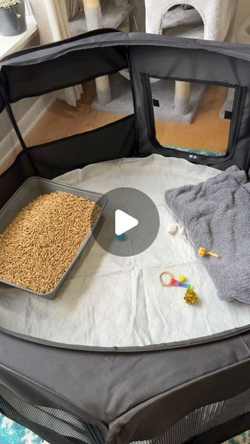 Foster Kittens Setup, Asmr Setup, Washable Puppy Pads, Dog Pen, Kitten Food, Puppy Pads, Foster Kittens, Kitten Rescue, Up Dog