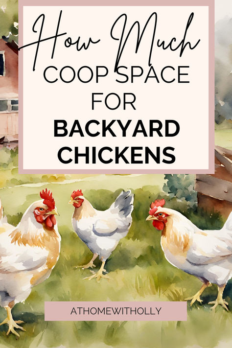 Are you planning on getting a backyard flock of chickens? Knowing how much space to have for each is important. Best Chickens For Eggs, Chicken Breeds For Eggs, Best Chicken Breeds, Best Egg Laying Chickens, Chicken Owner, Backyard Flocks, Egg Production, Keeping Chickens, Nesting Box