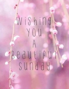 Adore Aesthetic, Sunday Quotes Funny, Sunday Greetings, Quotes Dream, Hello Sunday, Happy Weekend Quotes, Weekday Quotes, Weekend Quotes, Beautiful Sunday