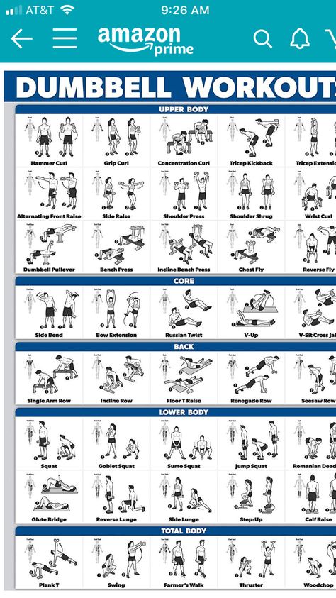 Muscle Diagram, Body Squats, Dumbbell Workouts, Workout Program Gym, Tricep Kickback, Gym Workout Planner, Whole Body Workouts, Dumbell Workout, Barbell Workout