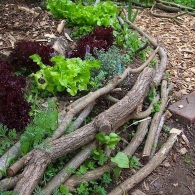 Jardim Diy, Landscape Edging, Lawn Edging, Woodland Garden, Landscaping Tips, Garden Edging, Diy Garden Projects, Garden Borders, Natural Garden