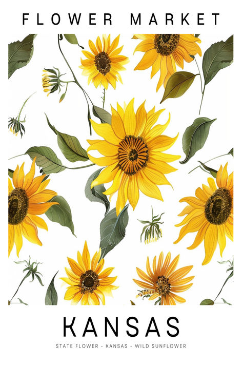 KANSAS Wild Sunflower State Flower
Available on Etsy digiheritagedesigns.etsy.com

Elevate your space with budget-friendly décor! Download, print, and frame our state flower drawings for a touch of minimalistic charm.

Available in 5 High Quality JPG Files that will fit almost any Frame! No need to purchase frames, instead use one you already have and cut a third of the price!

👇👇AVAILABLE SIZES👇👇
2:3 Ratio
3:4 Ratio
4:5 Ratio
11x14
ISO Wild Sunflower Drawing, Line Drawing Flower, Flower Market Art, Flower Line Drawing, Wild Sunflower, Flower Line Art, 1950s Art, Market Art, Sunflower Drawing