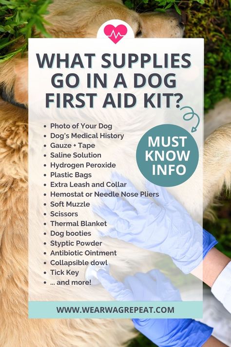 This list is something I was provided with when I got certified by PetTech in Pet First Aid and CPR. I took this class in person at our local animal shelter and highly recommend it to other dog owners. The 24 essential first aid items in the list below will help you take care of your own pet or someone else’s in case of an injury or emergency. The last thing you want is for something bad to happen to your dog and to feel unprepared and helpless. Dog Cpr Printable, Dog First Aid Kit, Pet Emergency Kit, Mom Must Haves, Dog First Aid, Meds For Dogs, Dog Accesories, Dog Booties, Dog Remedies