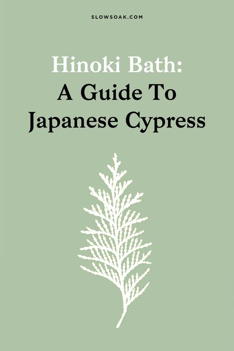 Hinoki Essential Oil, Bathing Culture, Bath Salts Diy Recipes, Japanese Face Mask, Hinoki Cypress, Restaurant Identity, Bath Salts Diy, Japanese Bath, Hinoki Wood