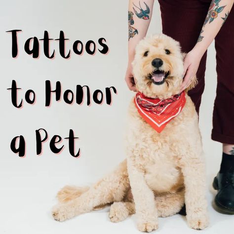 Sweet Ideas for Pet Memorial Tattoos - TatRing In Memory Of Dog Tattoo, Paw Print Tattoo Dog Memories, Pet Tribute Tattoo, Pet Memorial Tattoo Dogs, Memorial Dog Tattoos, Sheltie Tattoo, Dog Memorial Tattoos Small, Dog Memorial Tattoos Unique, Tattoos For Dogs That Passed