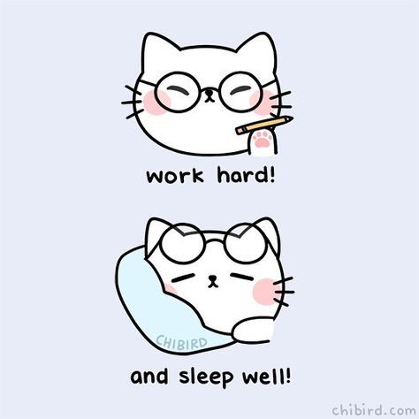 A motivational cat reminding you to give it your all when you work, but also treasure your rest time! _____ #motivational #webcomic #comics #chibird #doodleart #studygram #studyblr Chibird Motivation Study, Cat Motivational Quotes, Cute Motivational Doodles, Motivational Doodles, Kawaii Motivation, Chi Bird, Motivational Animals, Motivation Cartoon, Cat Motivation