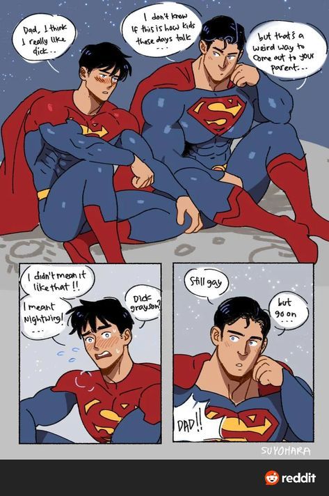 Dc Comics Funny, Superman X Batman, Batfamily Funny, Superman X, Lgbtq Funny, Univers Dc, Gay Comics, Batman Funny, Dc Comics Artwork