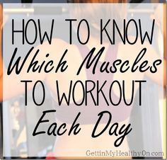 Muscles To Workout, Weight Lifting Schedule, Muscle Groups To Workout, Weight Training Schedule, Different Muscle Groups, Weekly Workout Schedule, Weight Lifting Routine, Lifting Workouts, Weight Lifting Workouts