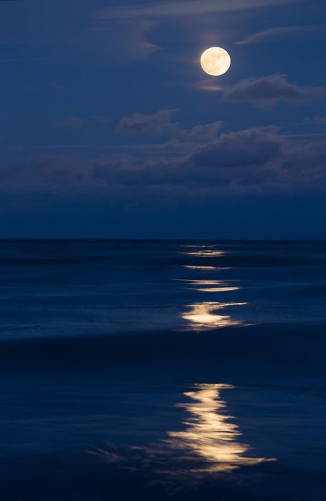 Moonlit Photography, Beach At Night Painting, Moon Landscape Photography, Lake Moonlight, Nature Photography Night, Moon And Nature, Moonlight Ocean, Moonlit Lake, Moonlit Beach