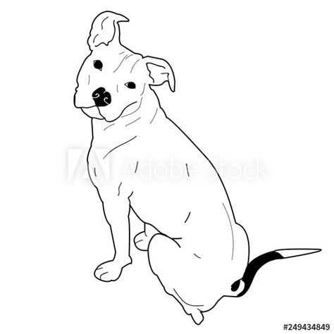 Stock Image: Pitbull/American Staffordshire Terrier Sitting, Dog Vector Doggo Tattoo, Drawing Pitbull, Huey Newton, Pitbull Drawing, Dog Line Drawing, Staffy Dog, Pitbull Tattoo, Dog Clip Art, Pitbull Art