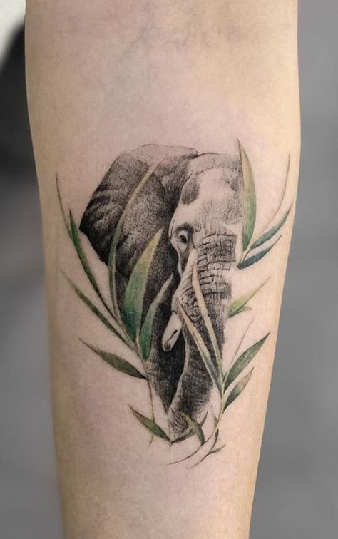 Elephant Sleeve Tattoos For Women, Elephant Tattoos Arm, Tattoo Ideas Placement, Elephant Art Tattoo, Tropisches Tattoo, Realistic Elephant Tattoo, Elephant Head Tattoo, Geometric Elephant Tattoo, Baby Elephant Tattoo