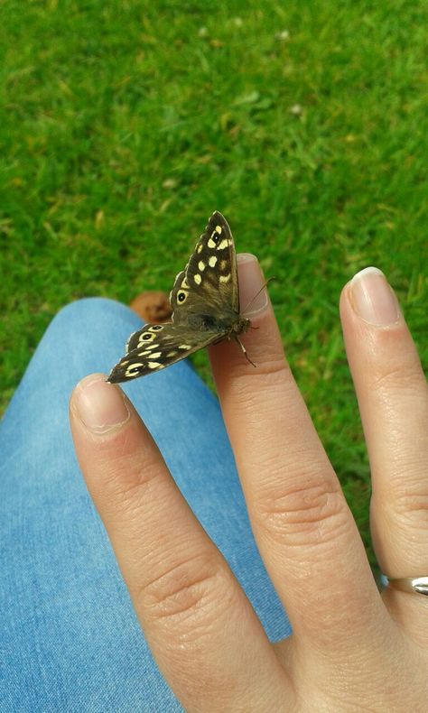 Butterfly landed on my hand. A special visitor saying hello? Butterfly Landing On Hand, Butterfly Landing, Saying Hello, Happy Place, Happy Places, Graphic Design, Design