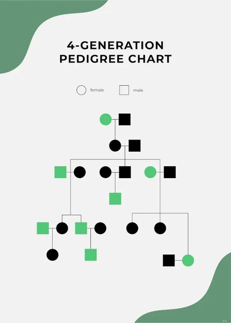 generation pedigree chart Pedigree Chart Printable Free, Pedigree Chart, Design Document, Editing Tools, 1 Million, Free Printables, Bundles, Tools, Writing