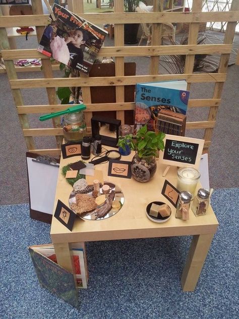 5 Senses Provocations, Provocation Table Ideas, Reggio Emilia Activities, Discovery Table, Investigation Area, Walker Learning, Reggio Emilia Classroom, Science Area, Early Childhood Education Programs