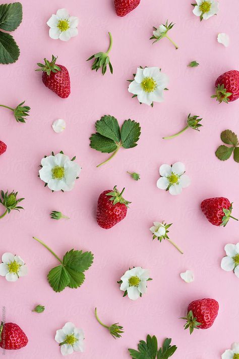 Strawberry fruit and flowers on a pink background by Ruth Black  - Strawberry, Background - Stocksy United Summer Strawberry Aesthetic, Strawberry Background Wallpapers, Strawberry Background Aesthetic, Strawberry With Flowers, Pink Strawberry Wallpaper, Pink Strawberry Aesthetic, Fruity Background, Strawberries Photography, Strawberry And Flowers