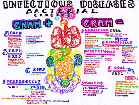 where the art of procrastination meets the study of medicine Bacterial Diseases, Medicine Notes, Nursing Mnemonics, Medical Student Study, Medical Laboratory Science, Nursing School Survival, Medical Photos, Nursing School Studying, Liver Detoxification