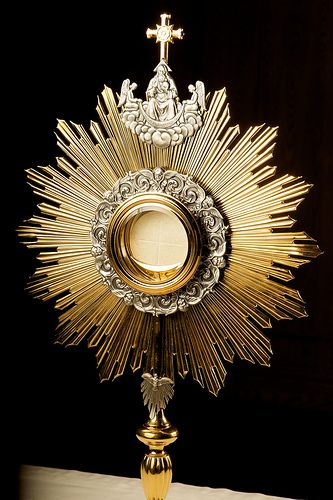 Lord Jesus I come before Thee to adore and love, to thank Thee and to gaze upon Thy immense beauty Panna Marie, Eucharistic Adoration, Agnus Dei, Religious Pictures, Catholic Images, Art Sacre, Jesus Christus, Roman Catholic Church, Eucharist