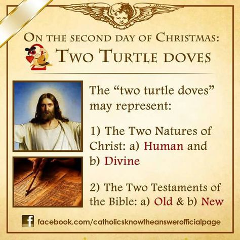 On the second day of Christmas 2nd Day Of Christmas, 2 Turtle Doves, Second Day Of Christmas, Two Turtle Doves, Catholic Christmas, Turtle Doves, Catholic Beliefs, Faith Formation, Meaning Of Christmas