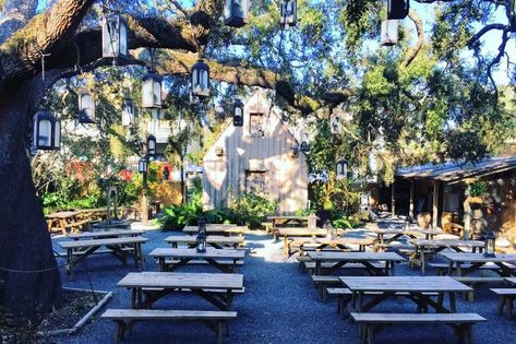 The 10 Best Wedding Venues in Saint Augustine, FL - WeddingWire Florida Wedding Reception, Travel Florida, Oceanfront Wedding, Wooded Landscaping, Elegant Wedding Venues, Sing Out, Florida Wedding Venues, Historic Wedding, Wedding Reception Locations