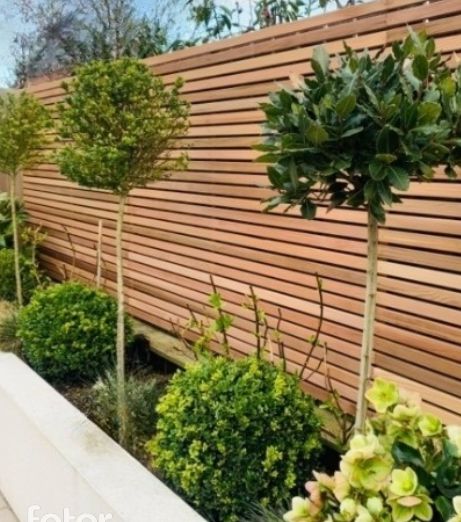 Garden Wall Wood Cladding, Slat Fencing Horizontal, Garden Fencing Design, Courtyard Fencing Ideas, Cedar Wall Exterior, Garden Slatted Fence, Red Cedar Fence, Slatted Garden Fence, Horizontal Garden Fence