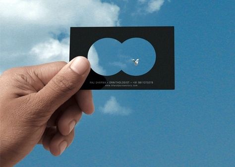 10 cool business cards - this one's for an Ornithologist (love this one). Unusual Business Card, Name Card Design, Social Design, Collateral Design, Pocket Folders, Creative Concept, Karten Design, 카드 디자인, Elegant Business Cards