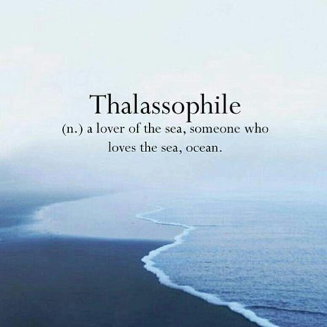 Thalassophile. A lover of the sea Sea Quotes Lyrics, Quotes Lyrics Aesthetic, Food Lover Quotes, Phobia Words, Sea Quotes, Beautiful Words In English, Unique Words Definitions, Words That Describe Feelings, Uncommon Words